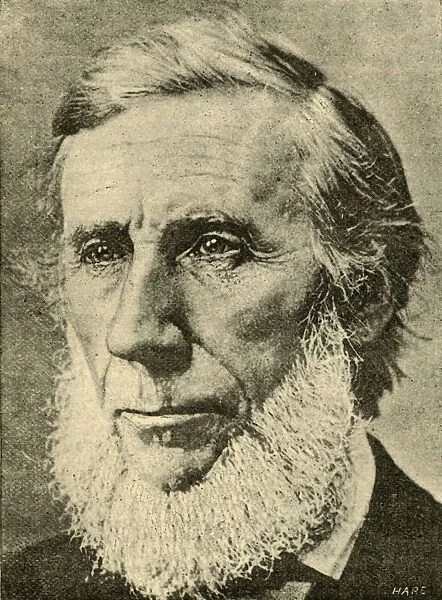 John Tyndall, 1887. Creator: Unknown