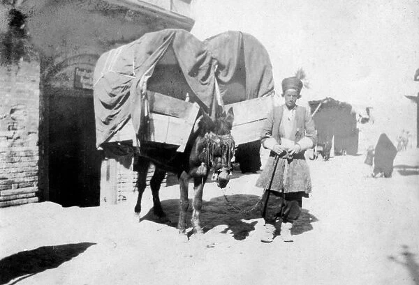 Persian donkey transport, Baghdad, Iraq, 1917-1919