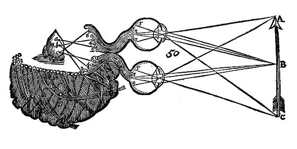 Rene Descartes idea of vision, showing the function of the eye, optic nerve and brain, 1692