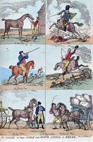 Six Classes Noble Useful Animal Horse 19th Century