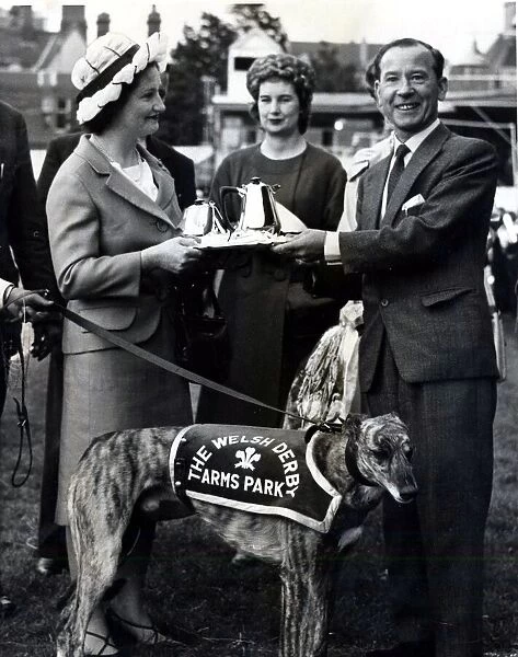 Greyhound racing picture shows: Summerhill Fancy winner of The Welsh Greyhound Derby at