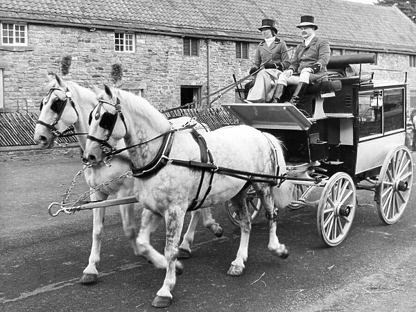 Helen Wrightham and Gavin Allan with a carriage and pair (Orbit and Starsky
