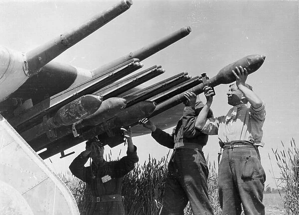 R. A. F ground crew equipping Typhoons with rocket projectiles at a landing strip in France