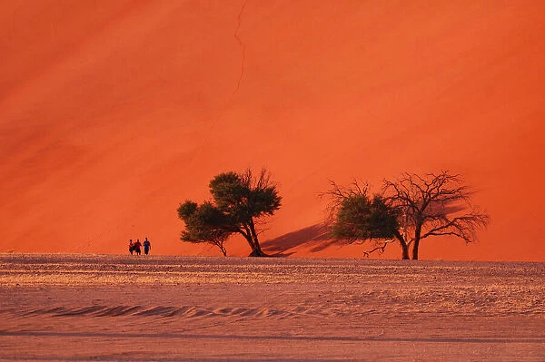 Namibia. People walking at Sand Dune 45, Sossusvlei area