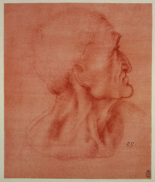 Head of the apostle Judas for the Last Supper by Leonardo da Vinci, sanguine drawing on red paper preserved at the Royal Library of Windsor