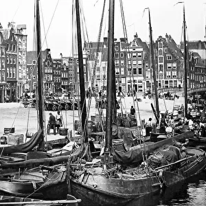 Amsterdam harbour, Netherlands