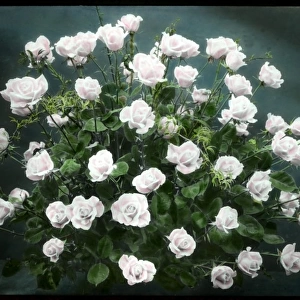 Arrangement of pale pink roses