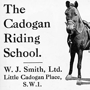 Cadogan Riding School advertisement