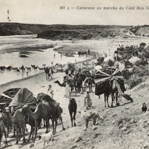 Camel caravan in Biskra district, Algeria