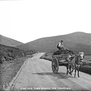 Carting Turf Among the Mournes