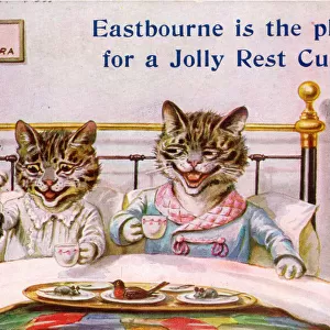 Cat couple in bed on a greetings postcard
