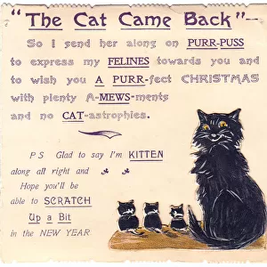 Cat and kittens with comic verse on a Christmas card