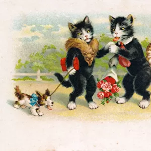 Cats out for a walk on a French postcard