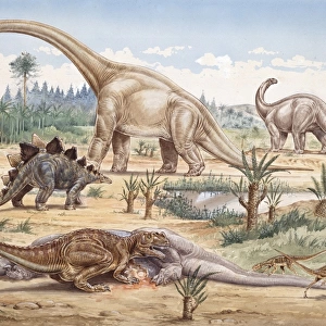 Ceratosaurus, Coelurosaur, Camptosaurus, Stegosaurus, Brachio