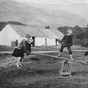 Children and a dog play on a seesaw