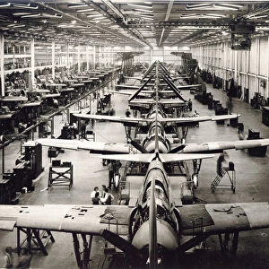 Curtiss Model 84 Helldiver production