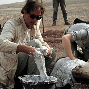 Excavations, Niger
