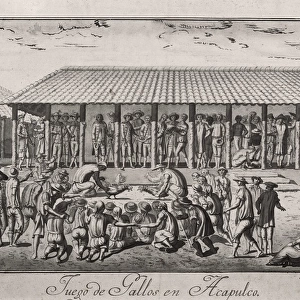 Expedition of Malaspina. Acapulco. Cock fightings
