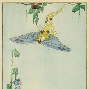 Fairy riding on a butterfly