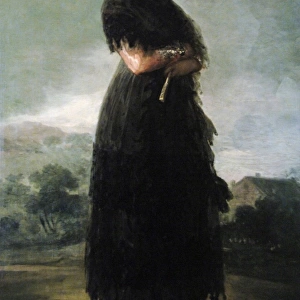 Francisco Goya (1746-1828). Mariana Waldstein, 1792