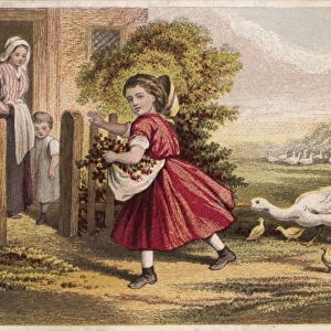 Girl and Geese