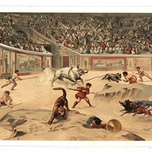 Gladiators fighting wild animals in Pompeii ampitheatre