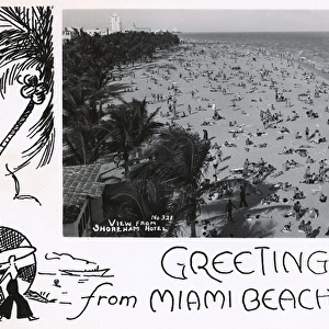 Greetings postcard from Miami Beach, Florida, USA