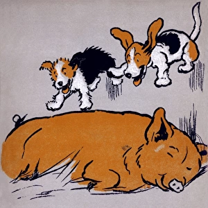 Illustration by Cecil Aldin, The Farmyard Puppies