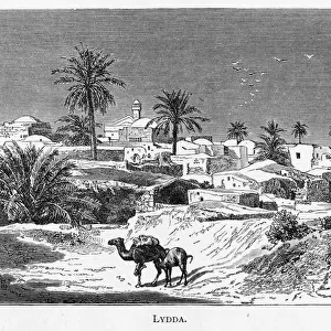 Israel Lod Lydda