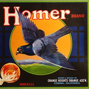 Label, Homer Brand Sunkist oranges, California, USA