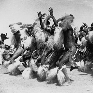 Large Group of Dancing Zulus