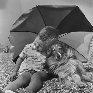 Little boy and Collie dog with parasol on a pebbly beach