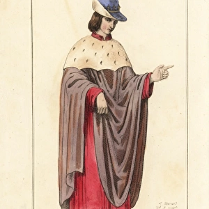 Lord in the court of King Charles V of France, 14th century