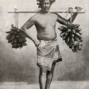 Man carrying fruit on a pole, Tahiti, French Polynesia