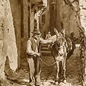 Man and donkey in Puget-Theniers, Alpes-Maritimes, France