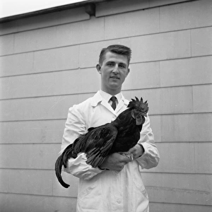 Man with rooster