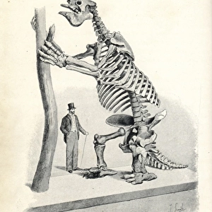 Megatherium americanum skeleton cast