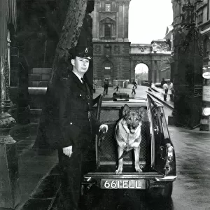 Metropolitan police officer with dog at back of van