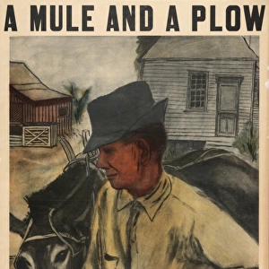 A mule and a plow - Resettlement Administration - Small loan