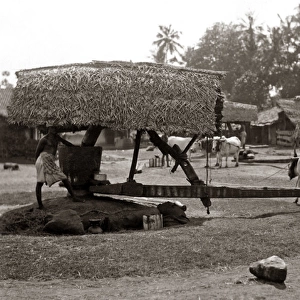 Oil mill for making coconut oil, Ceylon, Sri Lanka, circa 18