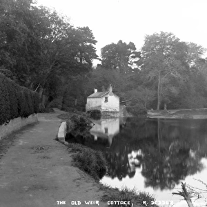 The Old Weir Cottage, R. Dodder