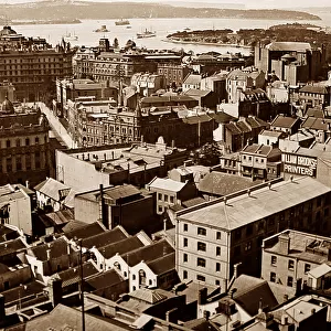 Panorama of Sydney, Australia, early 1900s