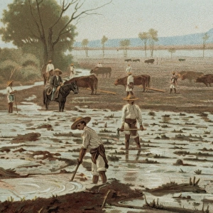 Peasants working agricultural land supervised by the foreman
