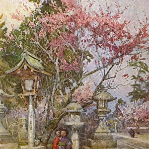 Plum Blossom and Stone Lanterns, Japan