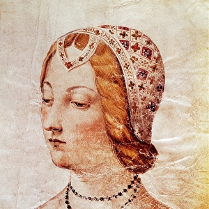 Portrait of Laura de Noves, Provenzal lady inspiring the Can