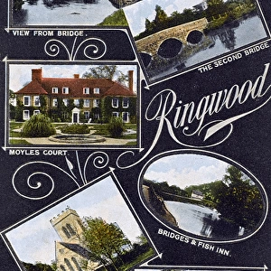 Ringwood, Hampshire - Various sights