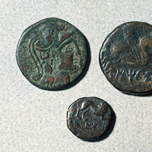Roman coins. As. Obverse and back depicting Pallas and Pegas