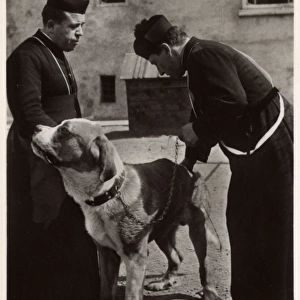 A Saint Bernard rescue dog with two priests, Switzerland