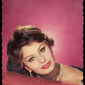 Sophia Loren / Postcard