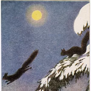 SQUIRRELS AT NIGHT 1905